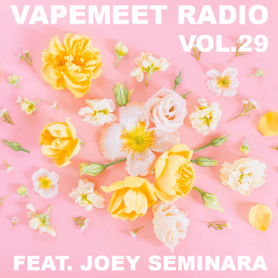 episode VapeMeet Radio Vol.29 (House Music) artwork