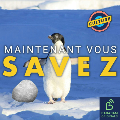 episode Qu'est-ce que le pebbling cette technique de communication 2.0 ? artwork