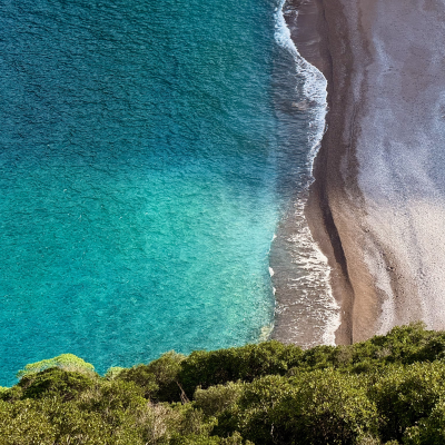 episode Zprávy z lesa #127 🏕️ artwork