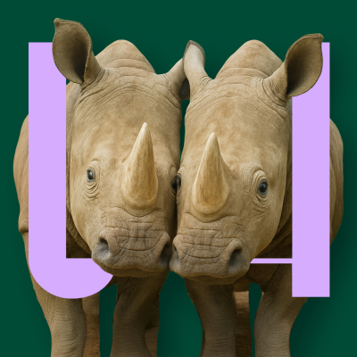episode VIDEOPODCAST Kunnen we de witte neushoorn nog redden? artwork