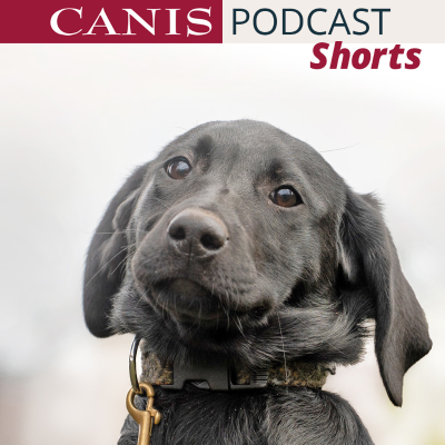 episode Shorts: Was ist ein Ethogramm? artwork