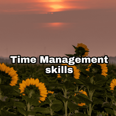 episode Time Management Skill #2 artwork
