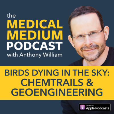 episode 101 Birds Dying In The Sky: Chemtrails & Geoengineering artwork
