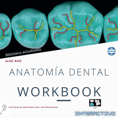 Anatomía Dental Workbook