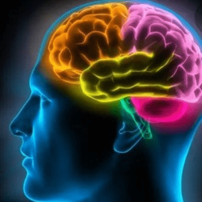 episode Neuroeducación artwork