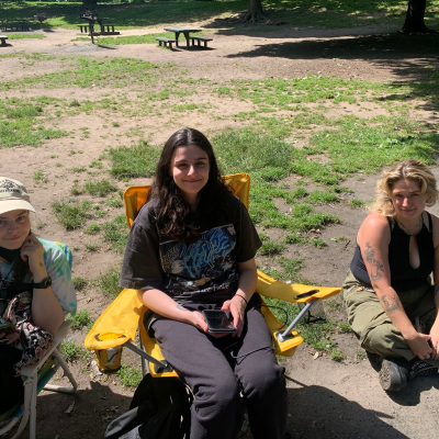 episode Fans of Phoebe Bridgers Cite 'Collective Catharsis' artwork