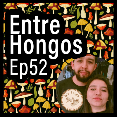 episode Entre Hongos Ep. 52 - BioFunga (Biol. Rubí Peralta y Biol. Jair Alcantar) artwork