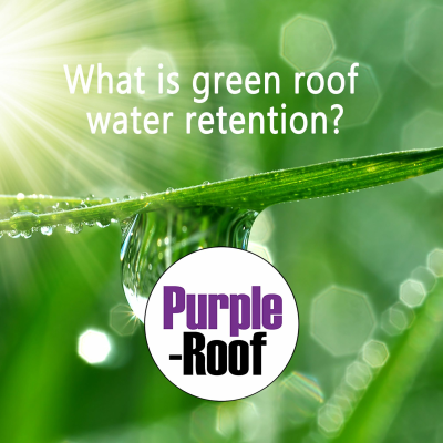 episode What is green roof retention? artwork