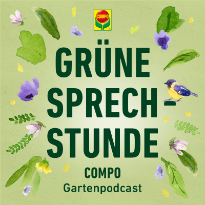 episode Weihnachtsstern: 5 Pflegefehler – Grüne Sprechstunde artwork