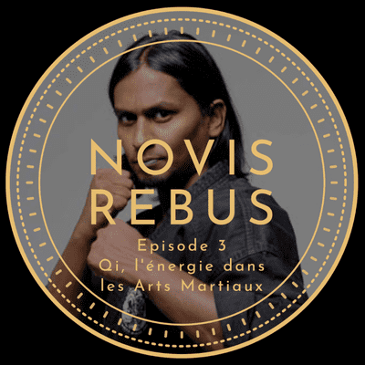 episode Qi, l'énergie dans les arts martiaux artwork
