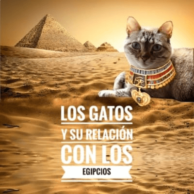 episode Los gatos y su relación con los egipcios artwork