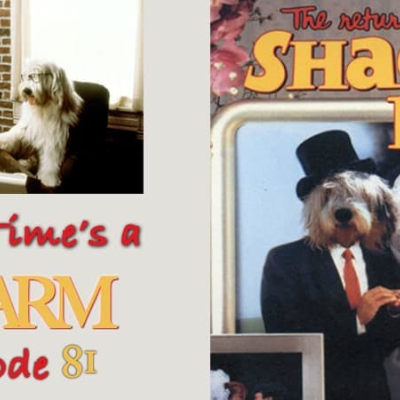 episode 081 The Return of the Shaggy Dog (1987) artwork