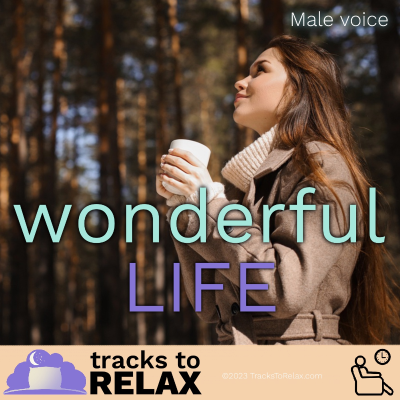 episode Wonderful Life NAP Meditation artwork
