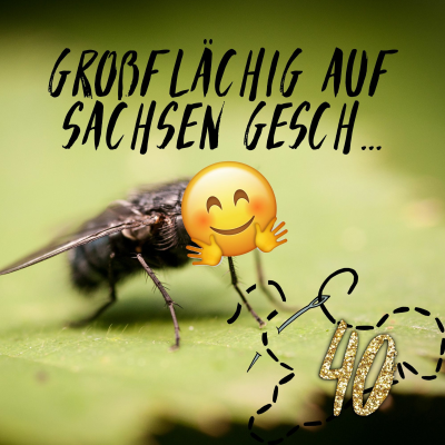 episode #40 - Großflächig auf Sachsen gesch... artwork