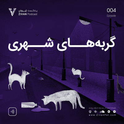 episode گربه های شهری artwork
