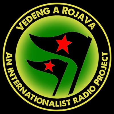episode #4: Internationalism: solidarity, her(his)story, strategy, Women rise up for Afrîn, Ş. Barîn Kobane artwork