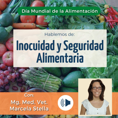 episode Hablemos de Inocuidad y Seguridad Alimentaria artwork