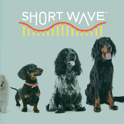 episode Helping Dogs and Their Pawrents Live Healthier, Longer artwork