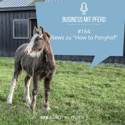 episode #164 News zu "How to Ponyhof" artwork