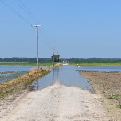 episode As the floodwaters recede artwork