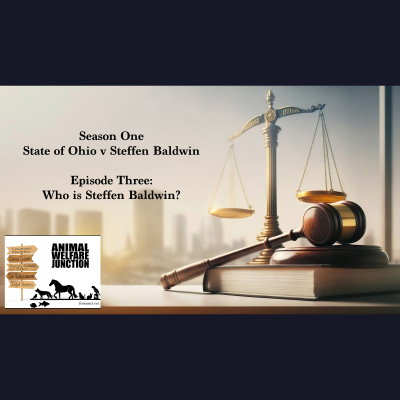episode Season 1: State v Steffen Baldwin / Episode 3: Who is Steffen Baldwin? artwork