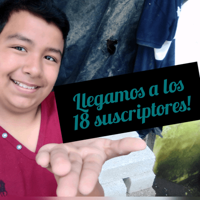 episode LLEGAMOS A LOS 18 SUSCRIPTORES. artwork