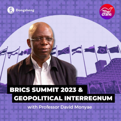 episode The Crane: Episode #15 - BRICS Summit 2023 and Regional Relations at an Interregnum artwork