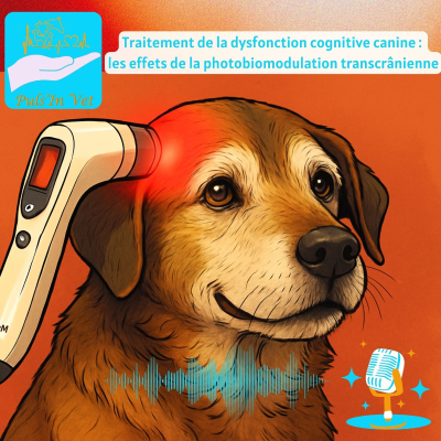 episode Traitement de la dysfonction cognitive canine : les effets de la photobiomodulation transcrânienne artwork