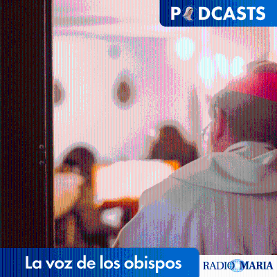 La voz de los obispos