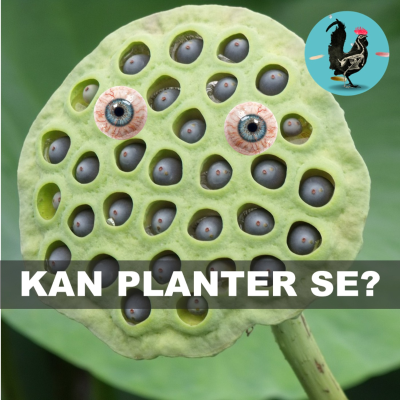 episode #204: Kan planter se? artwork