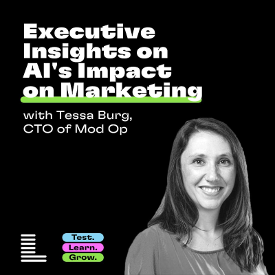 episode Executive Insights on AI's Impact on Marketing artwork