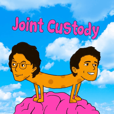 Joint Custody