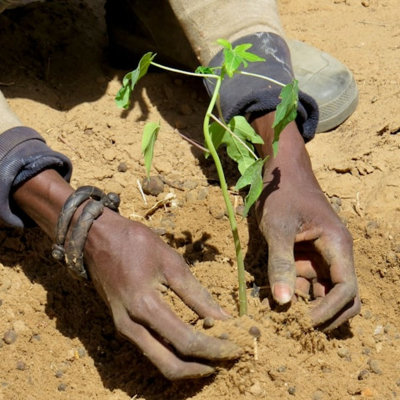 episode 28 novembre 2025 - Notiziario Africa artwork