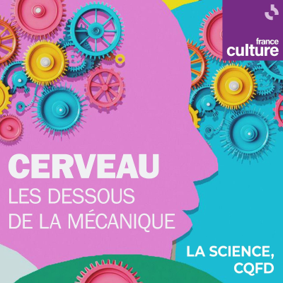 episode Cerveau, les dessous de la mécanique : Synchronisation des cerveaux : branchés sur la même fréquence artwork