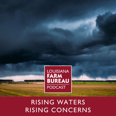 episode Rising Waters, Rising Concerns with Jay Grymes artwork