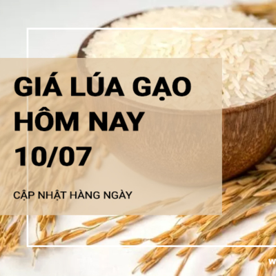 episode Giá lúa gạo hôm nay ngày 10/07: Giá gạo đồng loạt giảm 100-150 đồng/kg artwork