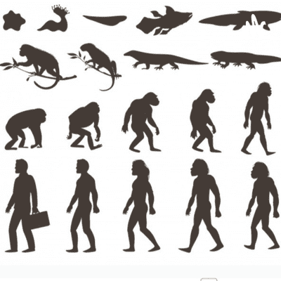 Darwinismo, Neodarwinismo e a Teoria Sintética