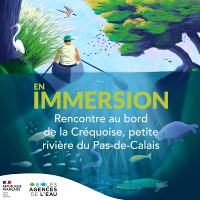 episode Rencontre au bord de la Créquoise, petite rivière du Pas-de-Calais artwork