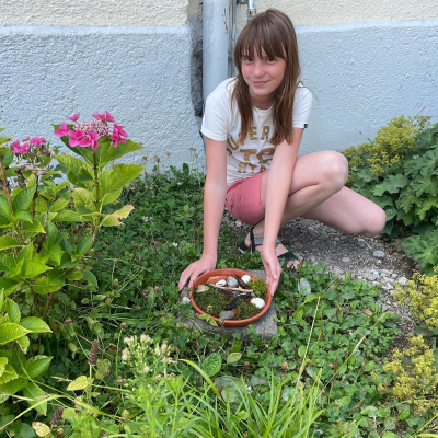 episode Wasser für die Bienen: Bienentränke selbst bauen artwork