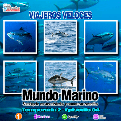 episode VIAJEROS VELOCES artwork