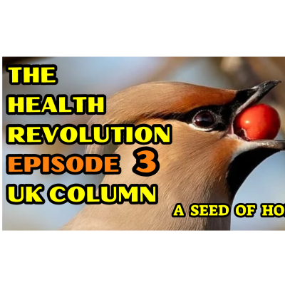 episode The Health Revolution Episode 3 UK Column artwork