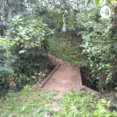 ¡Adivina Adivinador!