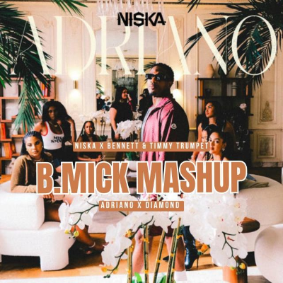 episode Niska x Bennett & Timmy Trumpet - Adriano x Diamond (B.Mick Mashup) artwork