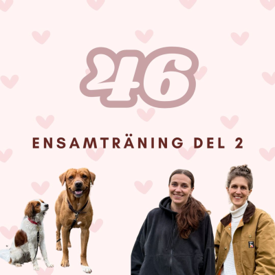 episode 46. Ensamträning, separationsångest och urk*kande teknik artwork
