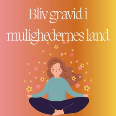 episode Bliv gravid i mulighedernes land artwork