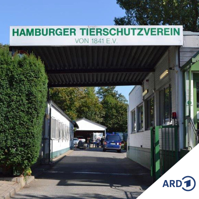 episode Hund, Katze, Papagei: Warten auf ein neues Zuhause artwork
