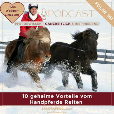 episode 🐎🐎 10 geheime Vorteile vom Handpferde Reiten artwork