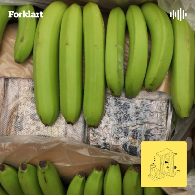 episode Bananer og Airtags: Slik smugles kokainen til Norge artwork