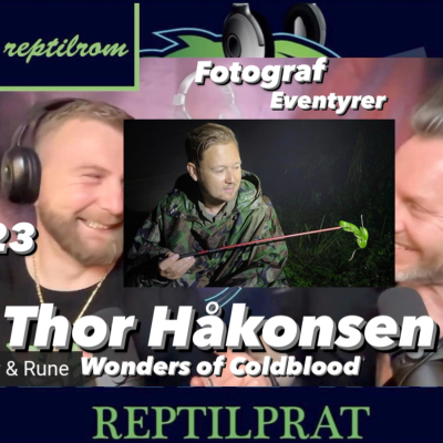 episode REPTILPRAT #5 med Thor Håkonsen, Wonders of Cold Blood. artwork