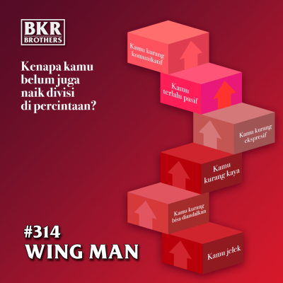 episode #314 Wing Man artwork